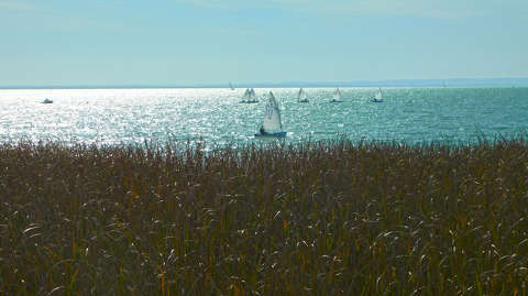 Balaton, a mi tengerünk