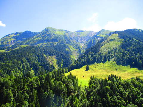 Svájc