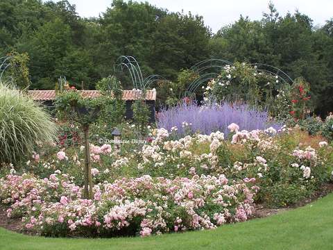 Jardin