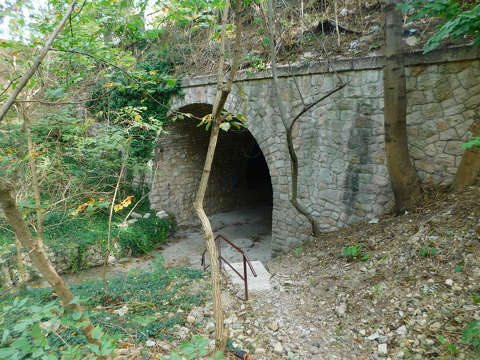 A Tethys-halagút nevet kapta a Veszprém belvárosában lévő viadukt megújult alagútja.