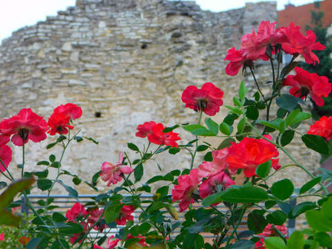Veszprém, Margit-rom(templom)