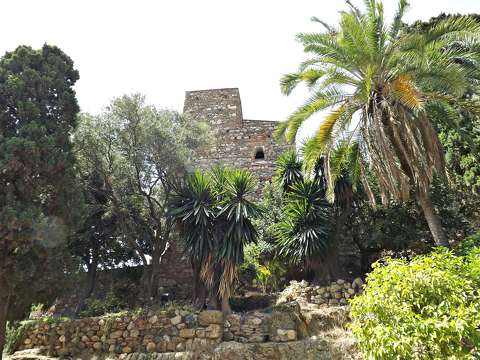 Malaga Alcazar