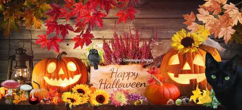Halloween