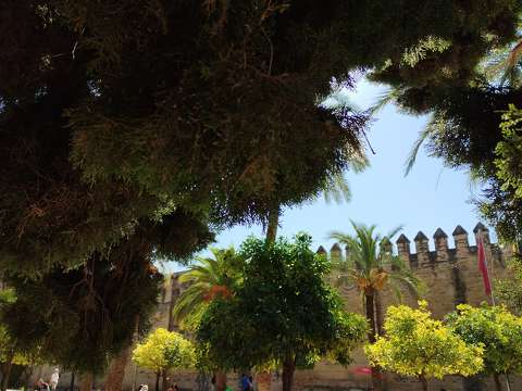 Córdobai Alcázar
