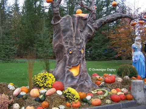 Halloween - Parc Nigloland - France