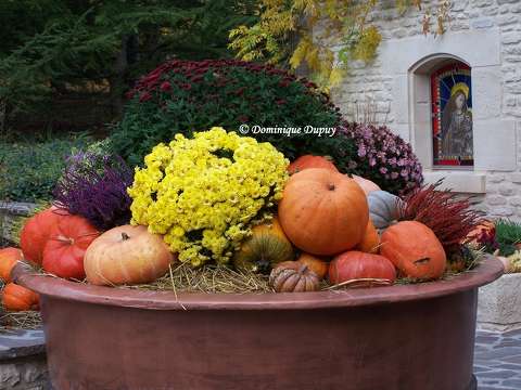 Halloween - Parc Nigloland - France