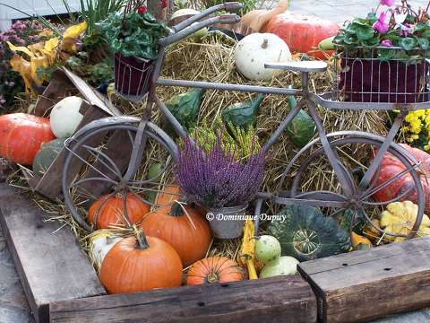 Halloween - Parc Nigloland - France