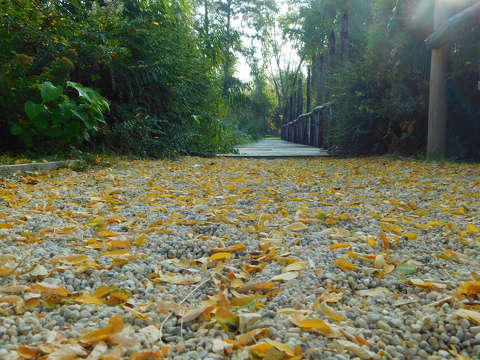 Veszprém, őszi séta a Kolostorok és Kertek parkban.