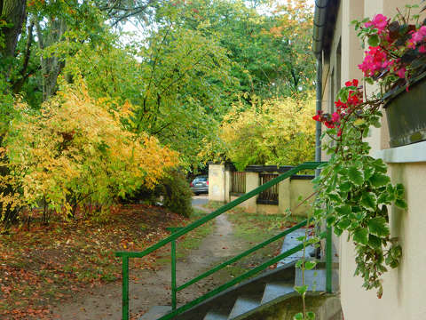 Balatonfűzfő, őszi utcarészlet