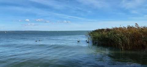Balatonalmádi-Káptalanfüred,