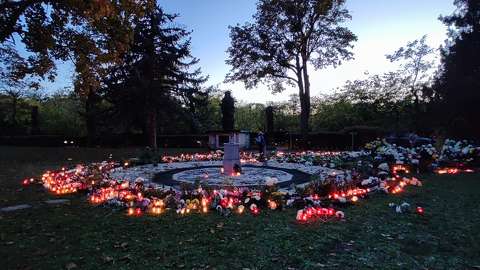 Szóróparcella
