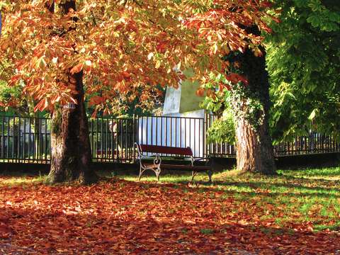 címlapfotó fa pad ősz