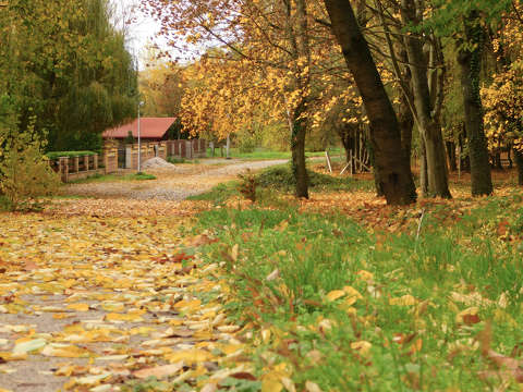 Balatonfűzfő, őszi hangulat, utcarészlet