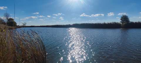 Holt Tisza