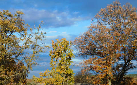 Novemberi napsütésben.