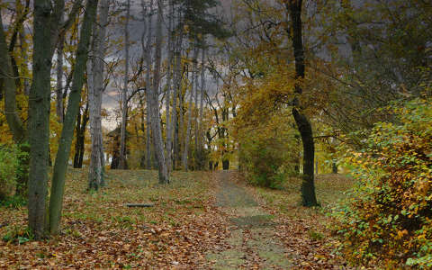 Balatonfűzfő, novemberi ősz