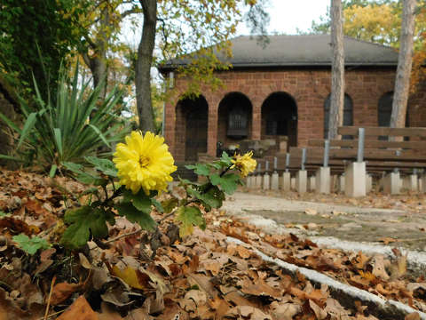 Angyalos Boldogasszony-kápolna - Káptalanfüred, Balatonalmádi