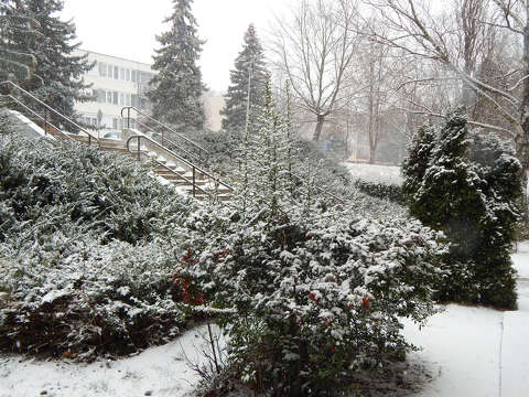 Balatonfűzfő, lépcső