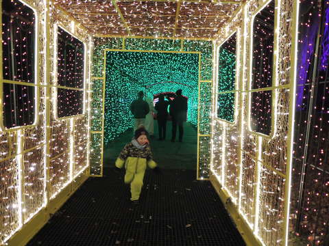 Lumina park,Margitsziget