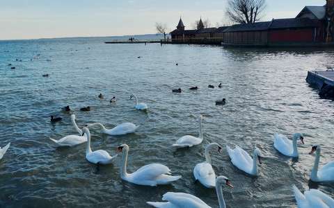 Keszthely Városi strand