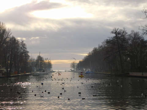 Balatonfűzfő, egy ködös reggelen.