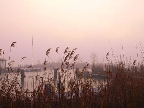 Téli Balaton - Balatonalmádi