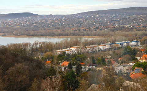 Balaton, Fűzfői öböl, Fűz liget