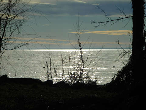 Ragyogó Balaton