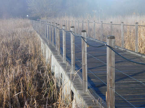 Stég, sétány Balatonfűzfőn