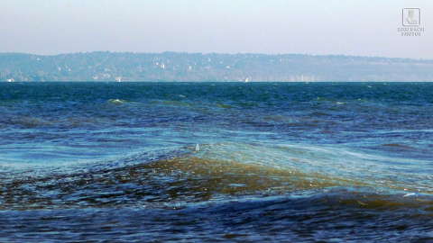 jeges hullámok a Balatonon