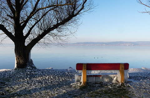 balaton címlapfotó fa jég