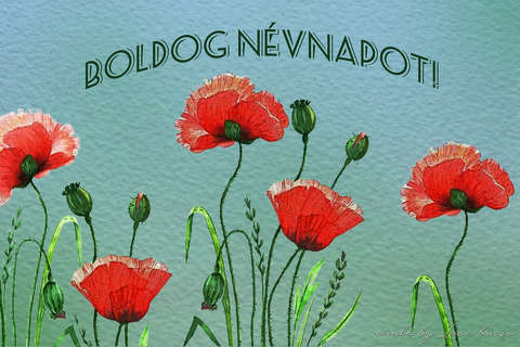 névnap, grafika