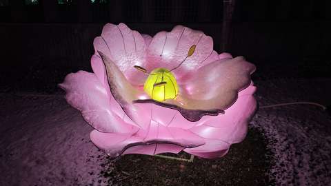 Biodom Lampion kiállítás