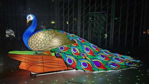 Biodom Lampion kiállítás