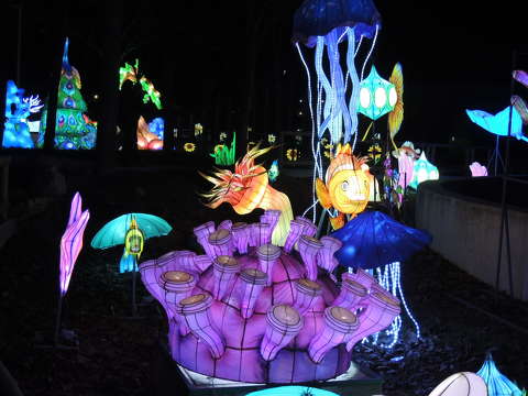 lampion kiállítás,Budapest
