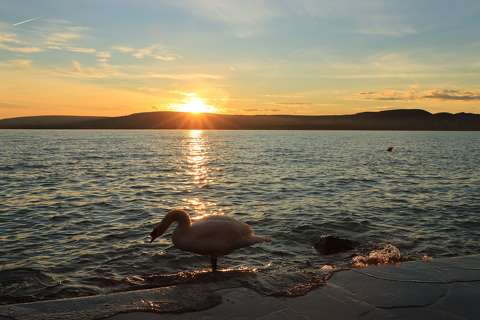Balatonfűzfő