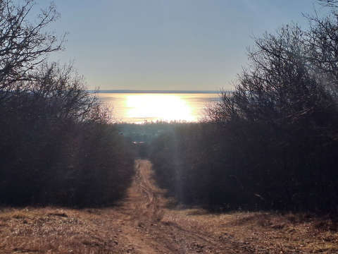 Balaton, Fűzfői öböl, erdei út