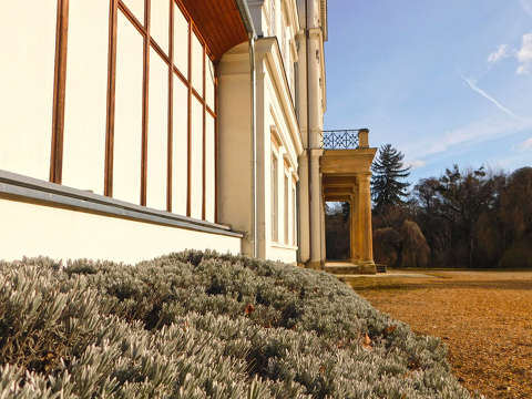 Ciszterci Apátság Arborétum - Zirc