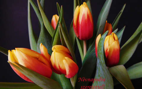 Zsuzsanna napra :)