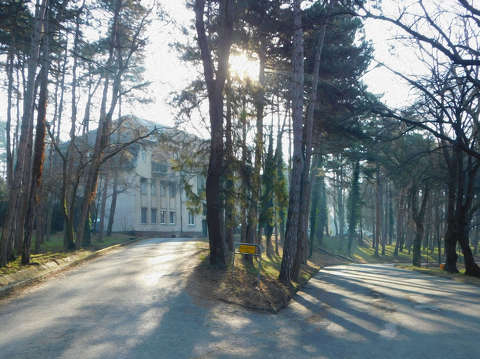 Balatonfűzfő