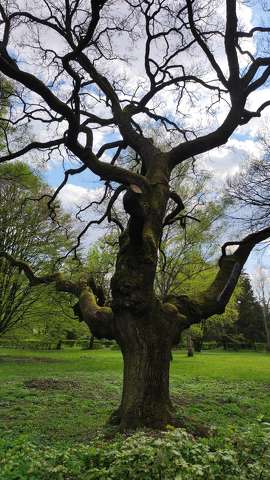 fa, park