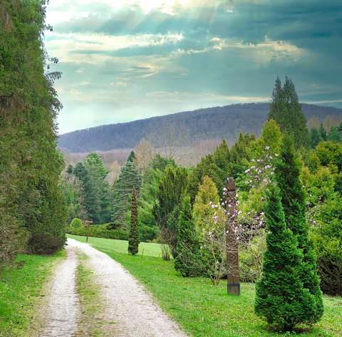 AGOSTYÁNI arborétum.