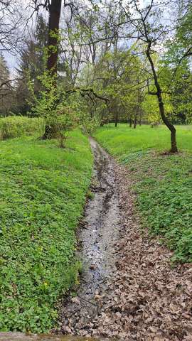 park, patak