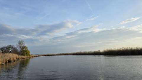 Holt Tisza