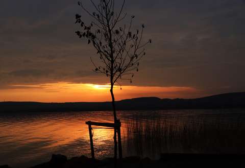 Balatonfűzfő