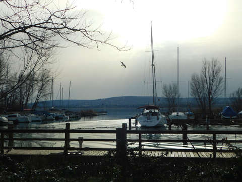 Balatonfűzfő - kikötő