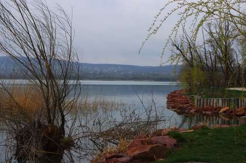 Balatonfűzfő