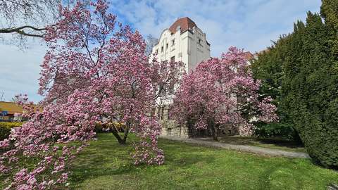 Pécs