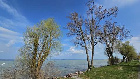 Balaton