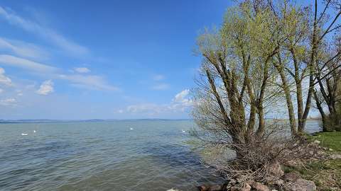 balaton magyarország tavasz tó